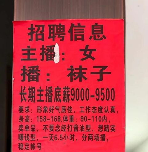 义乌市教育局最新招聘资讯概览