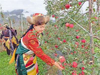 羌纳乡新项目，乡村发展璀璨明珠引领前行