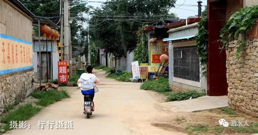 焦家庄村委会项目最新进展报告摘要