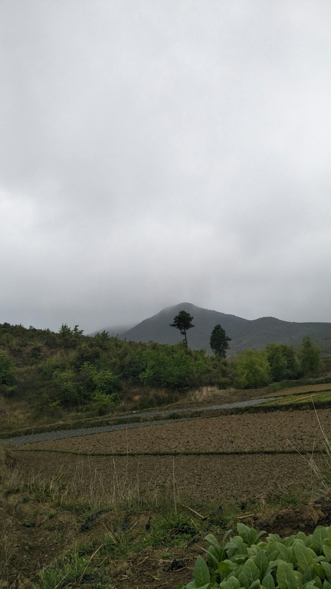 垂铅村今日天气预报