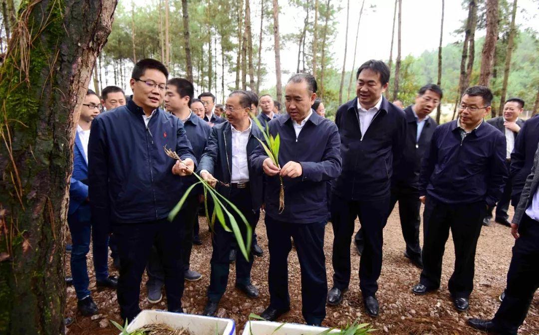 丹寨县发展和改革局领导团队全新亮相，展望未来发展蓝图