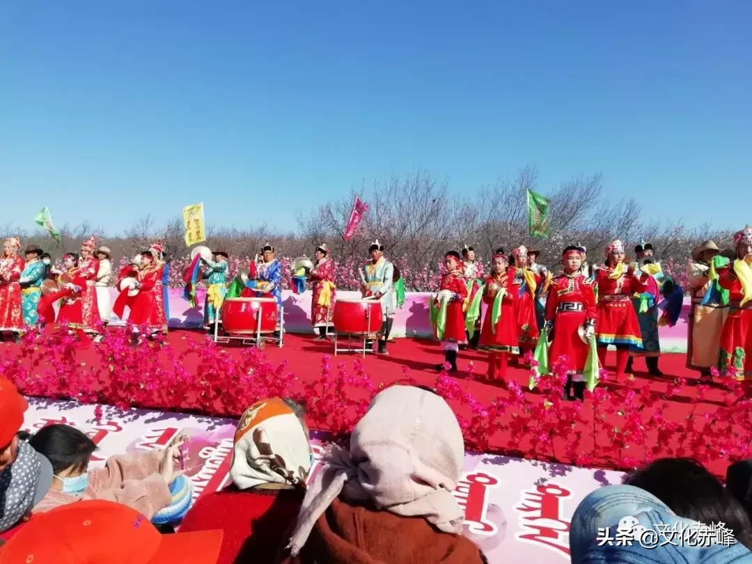 忙农镇政府新项目推动地区发展，提升民生福祉水平