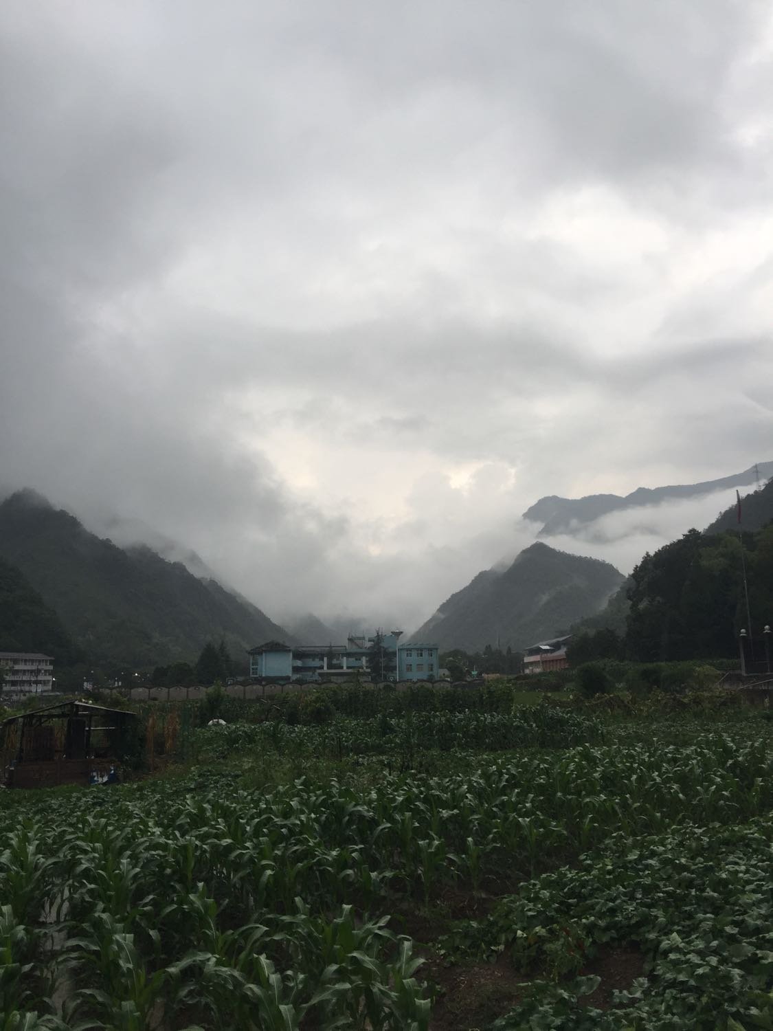 太平铺乡天气预报更新通知